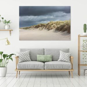 Dune