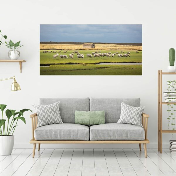 Havre Mouton
