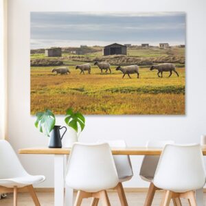 Havre Mouton #3