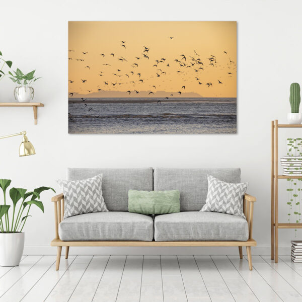 Vol d'oiseau